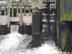 watermolen Den Haller